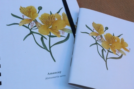 Cuaderno Amancay