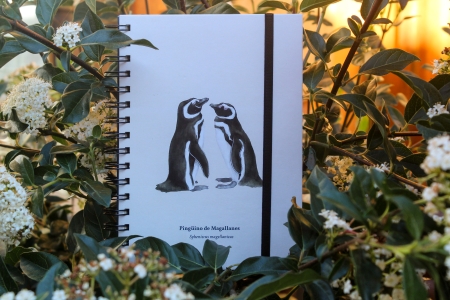 Cuaderno Pingüinos