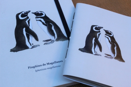 Cuaderno Pingüinos