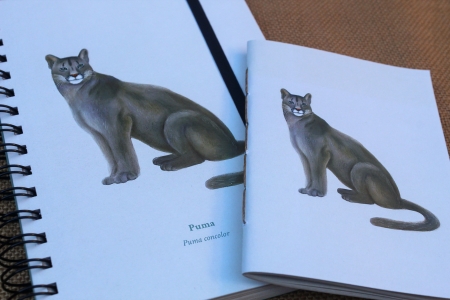 Cuaderno Puma