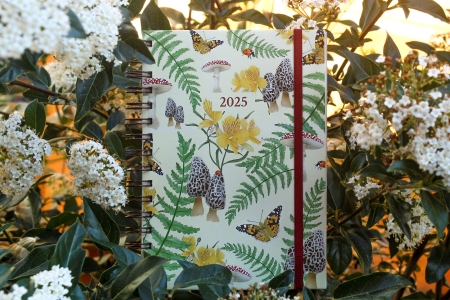 Agenda Bosque Andino