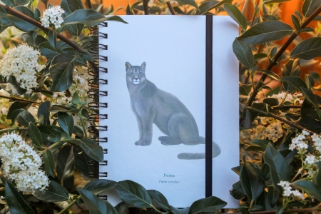 Cuaderno Puma